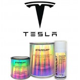 Mais sobre Tinta TESLA – Base mate para envernizar, em pote ou em lata de aerossol de 400 ml, à base de solvente – todos os códigos de cor