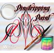 Tinta para Pinstriping 100ml