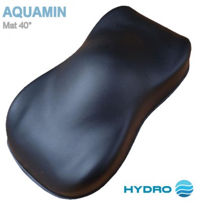 Verniz à base de água fosco monocomponente Aquamin