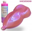 Kit complet de peinture nacrée pour vélo