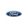 TINTA FORD