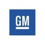 TINTA GENERAL MOTORS