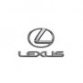 TINTA LEXUS