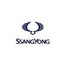 TINTA SSANGYONG