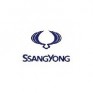 TINTA SSANGYONG