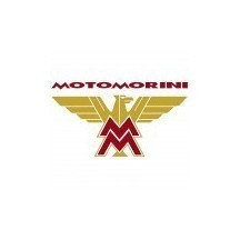 PINTURA MORINI