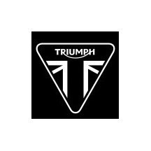 PINTURA TRIUMPH