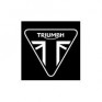PINTURA TRIUMPH