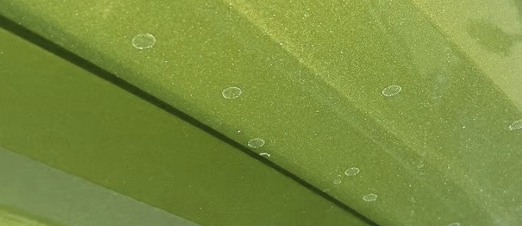 manchas de agua