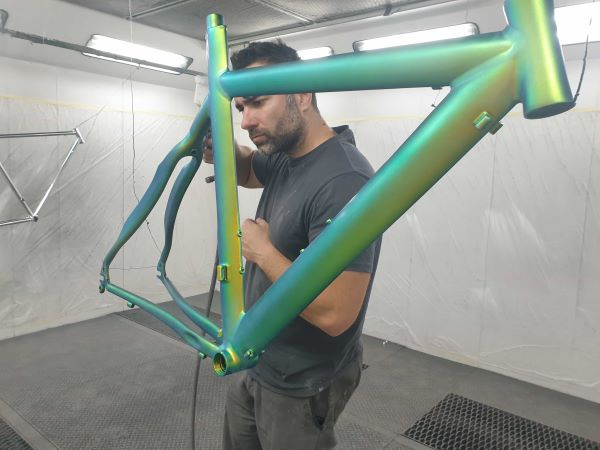 como fazer uma pintura camaleao